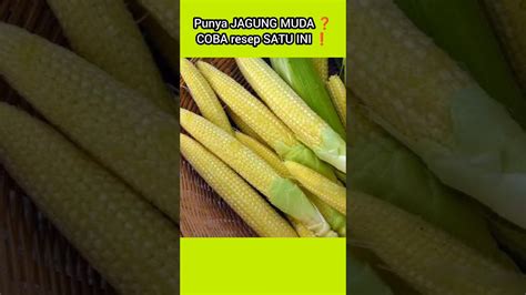 Jagung Muda Enak Banget Dimasak Seperti Ini Resepmasakan Shorts