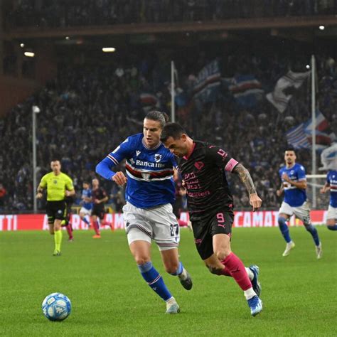 Serie B Il Cittadella Sconfitto In Casa Dalla Sampdoria Il Palermo