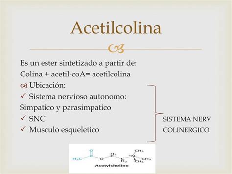 Intoxicacion Por Inhibidores De La Acetil Colinesterasa Ppt