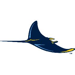 Tampa Bay Rays Alternate Logo | SPORTS LOGO HISTORY