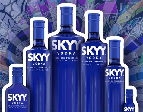 Pitch Deck Skyy Vodka Behance