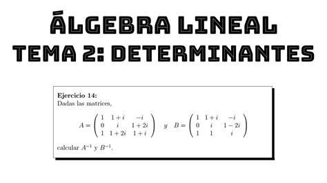 Ejercicio Matriz Inversa Por Determinantes Complejos Algebra Lineal