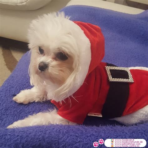 Traje De Santa Claus Para Perros Abrigo De Pap Noel Para Yorkshire