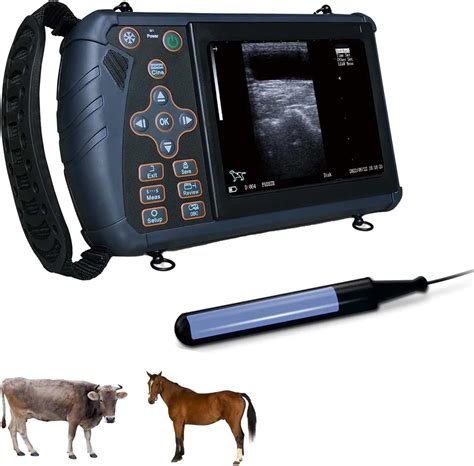 Handheld Mobile Portable Rectal Probe Veterinary Ultrasound Equipment