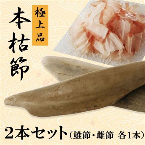 鰹節 本枯節 極上品 2本セット 背節・腹節 各1本 合計約480g 本場枕崎産 無添加 かつお節 雄節 雌節 送料無料（北海道・東北・沖縄