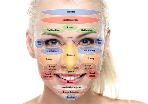 Did You Know Your Ear Reflexology Points Help The Entire Body Ear