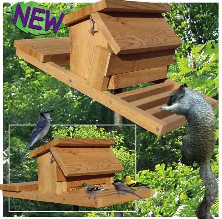 Homemade Squirrel Proof Bird Feeder Plans - Feeding Nature