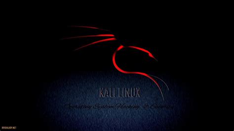 Kali Linux Wallpapers 1920x1080 - Wallpaper Cave