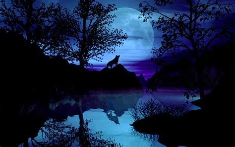 Night Wolf Wallpapers - Wallpaper Cave