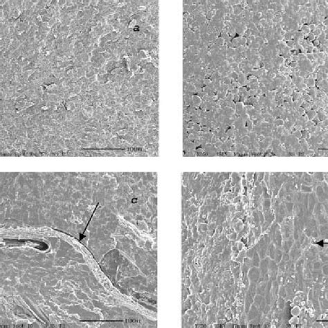 Scanning electron micrographs of cross-section (a,c) and surface (b,d ...