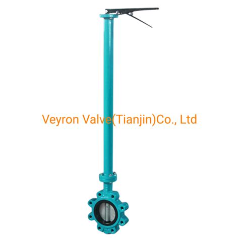 Ansi Din Jis Bs Ductile Iron Body Disc Epdm Nbr Ptfe Seal Wafer Lug Type Butterfly Valve Valvula