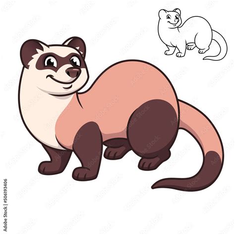 Black Footed Ferret Drawing