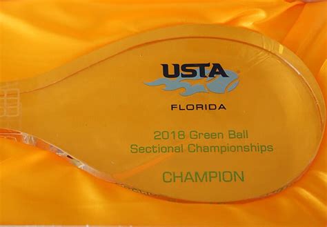Auburndale Winter Haven Players Win 10 Under Usta Florida Green Ball