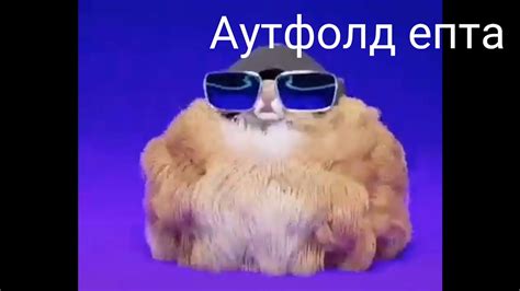 Мохнатая собака флексит под весеннюю подборку - YouTube