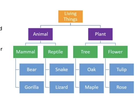 Psych Exam Chapter Flashcards Quizlet