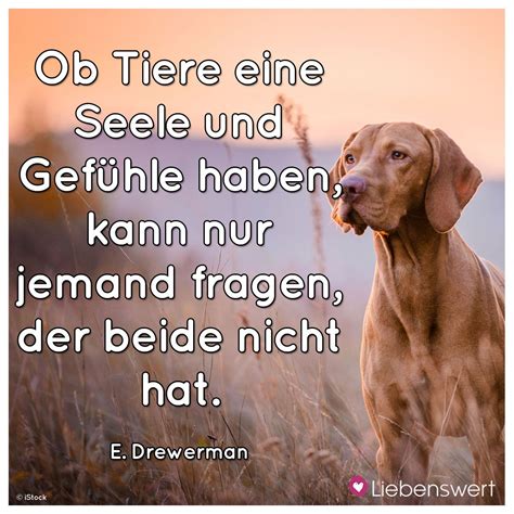 Sprüche Für Tierliebhaber Mit Bildern Zitate Tiere über Tiere Sind