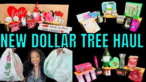 ALL NEW DOLLAR TREE HAUL AMAZING NEW ITEMS NEW DOLLAR TREE FINDS 2023