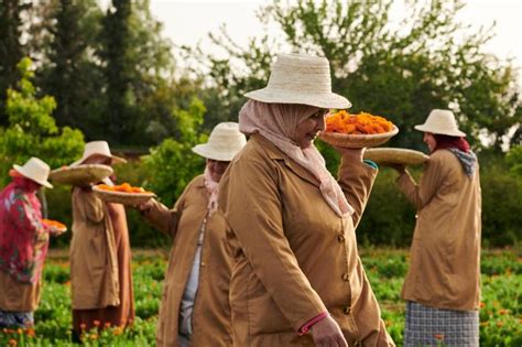 Les Jardins Collectifs de l Ourika au nom de la beauté et de la liberté