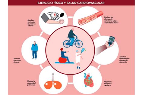 Luchar Contra El Sedentarismo Como Factor De Riesgo Cardiovascular Im