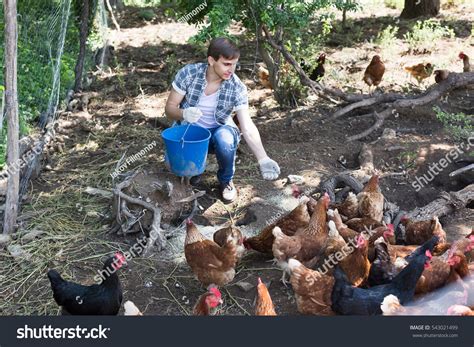 889 Man Giving Chicken Man Images Stock Photos And Vectors Shutterstock