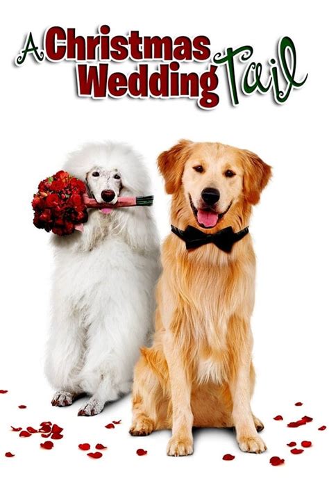 A Christmas Wedding Tail (2011) — The Movie Database (TMDB)