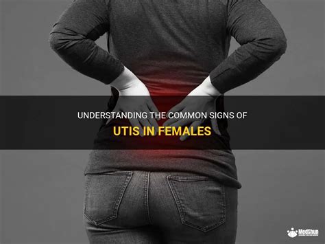 Understanding The Common Signs Of Utis In Females Medshun