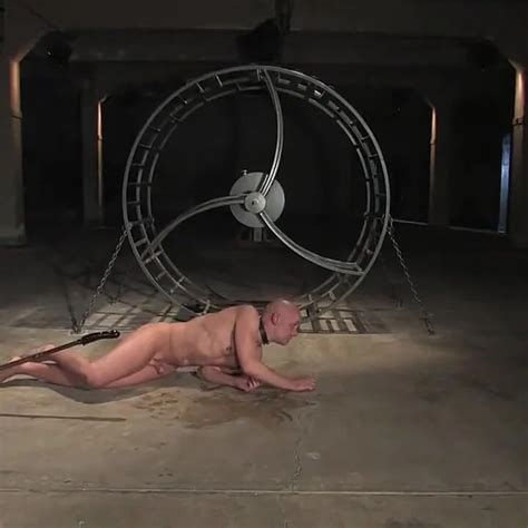 The Human Stain Gay Bdsm Bdsm Porn Feat Tober Brandt By Faphouse Xhamster