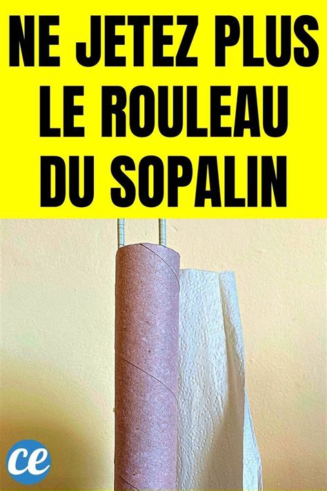 Ne Jetez Plus Le Rouleau Du Sopalin Il Permet D Liminer Toute La