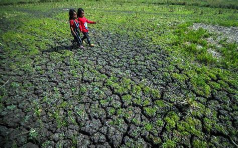 Bmkg Peringatkan Potensi Kekeringan Meteorologis Di Sejumlah Wilayah Indonesia