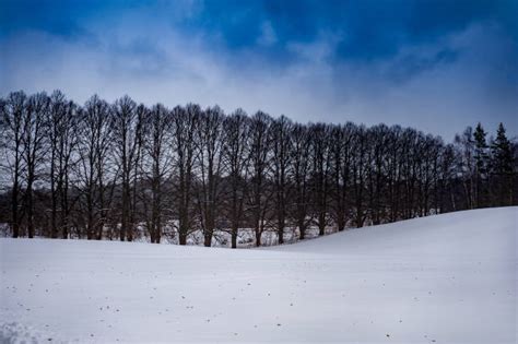 Flag Of Estonia Stock Photos Pictures And Royalty Free Images Istock