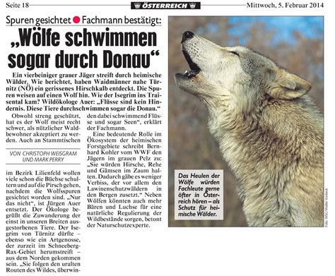 Der Museumsblog Wolf