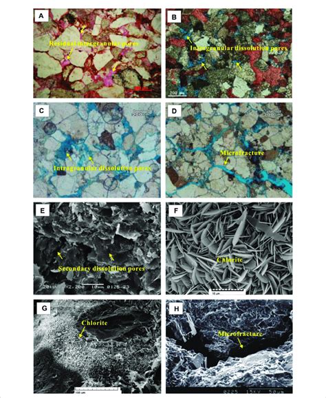 Microscopic Characteristics Of Sandstone Reservoirs In Xujiahe