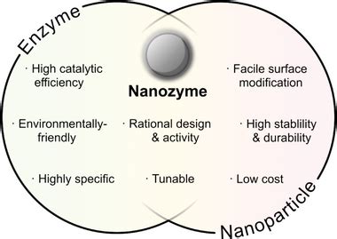 Nanozymes Are Nanomaterials That Exhibit Enzymelike Properties And