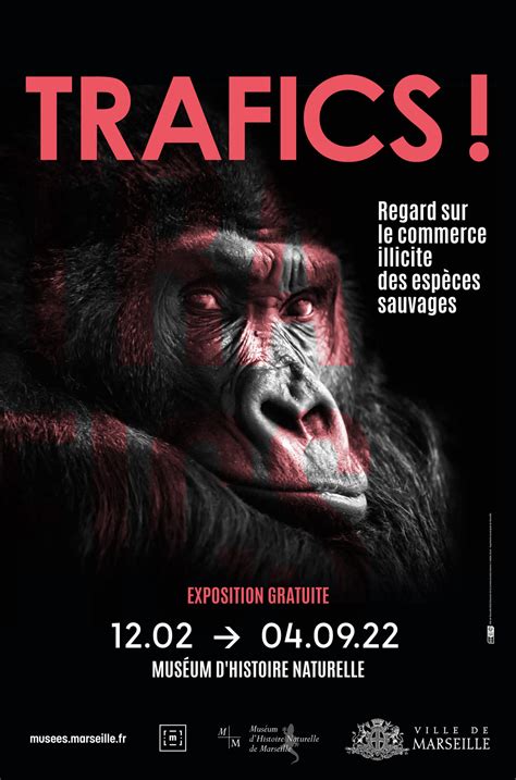 Exposition Trafics Regards Sur Le Commerce Illicite D Esp Ces