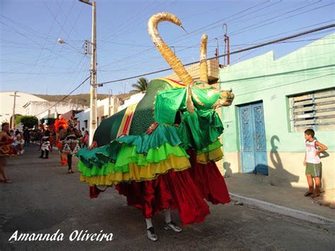 Folia Dos Bois Se Consolida E Mostra Por Que Arcoverde Entrou Para A