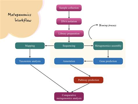 What Is Metagenomics Definition Steps Process And Applications