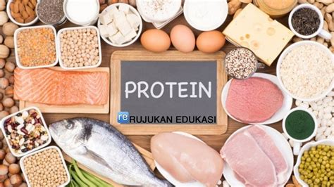 Protein Adalah Jenis Senyawa Organik Yang Terdiri Dari Molekul Tinggi