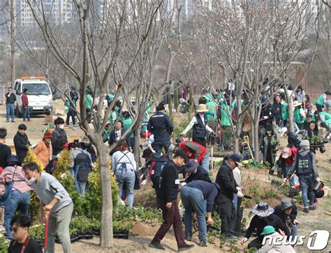 제78회 식목일 기념 수원시 나무심기 행사 네이트 뉴스