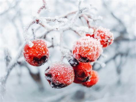 Tips Mooie Winterfoto S Hoe Maak Je Mooie Winterfoto S