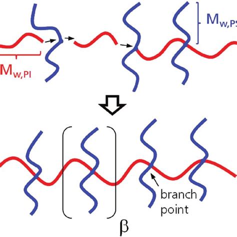 Molecular Architecture Of Tetrafunctional Multigraft Copolymers Red