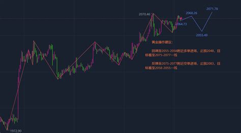 张志径：1228现货黄金走势分析及原油今日操作建议、原油分析走势操作策略 汇通评论 汇通网