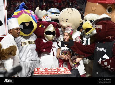 Temple owls mascot hi-res stock photography and images - Alamy