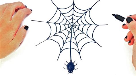 Spider Web With Spider Drawing