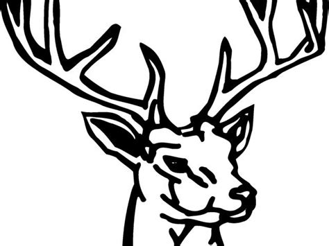 Hunting clipart 8 point buck, Hunting 8 point buck Transparent FREE for ...