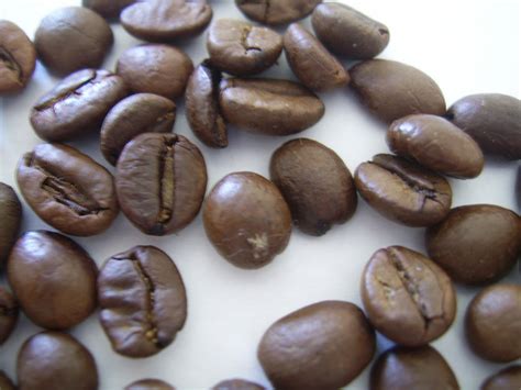 Coffee Beans Free Stock Photo Public Domain Pictures