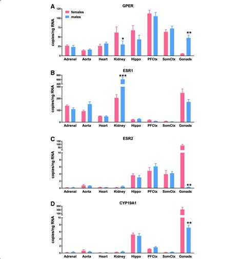 Expression Of Each Gene Was Compared Using Two Way Anova Sex × Tissue