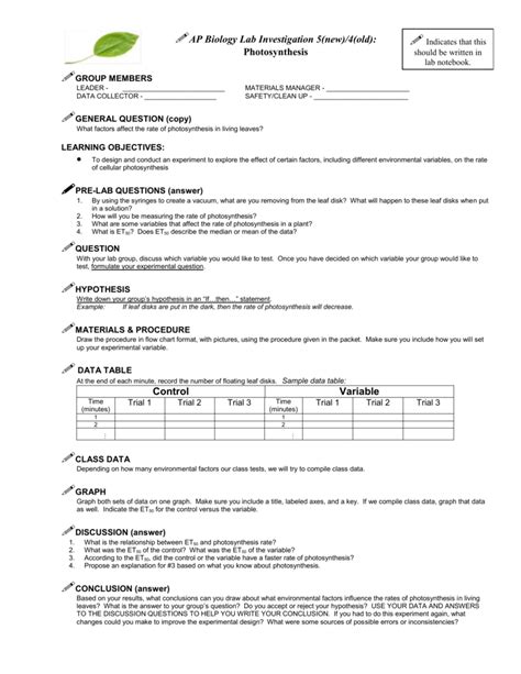 Leaf Disk Photosynthesis Lab Report Infoupdate Org