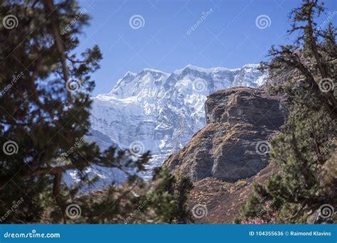 Snowcapped Peak And Forest In The Himalaya Mountains Annapurna Region