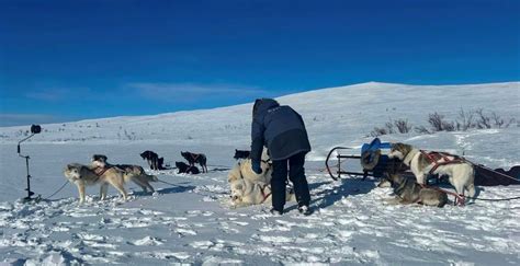 Snow-Sledding with Husky Home | Tourism Interface