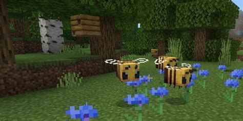 How To Get Honeycomb In Minecraft A Sweet Guide For Beginners